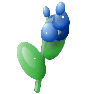 Cryptobluebell